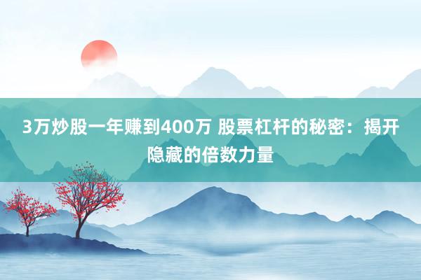3万炒股一年赚到400万 股票杠杆的秘密：揭开隐藏的倍数力量