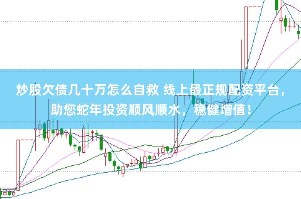 炒股欠债几十万怎么自救 线上最正规配资平台，助您蛇年投资顺风顺水，稳健增值！