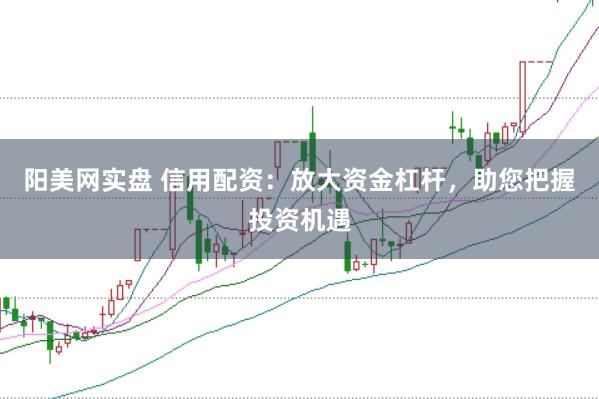 阳美网实盘 信用配资：放大资金杠杆，助您把握投资机遇