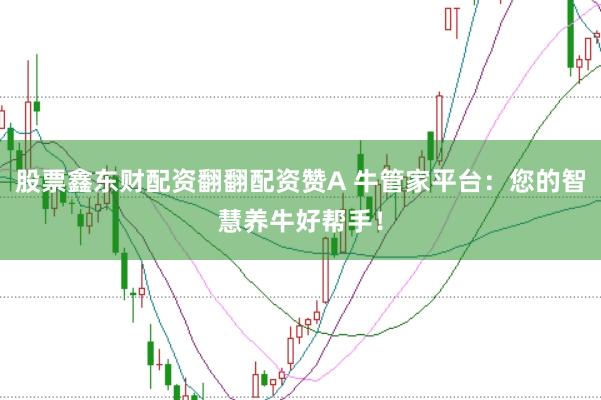 股票鑫东财配资翻翻配资赞A 牛管家平台：您的智慧养牛好帮手！