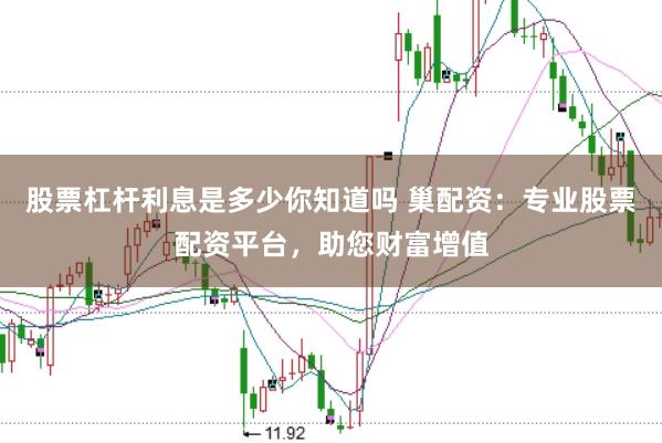 股票杠杆利息是多少你知道吗 巢配资：专业股票配资平台，助您财富增值