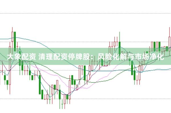 大象配资 清理配资停牌股：风险化解与市场净化