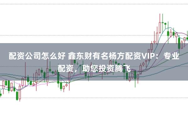配资公司怎么好 鑫东财有名杨方配资VIP:专业配资,助您投资腾飞