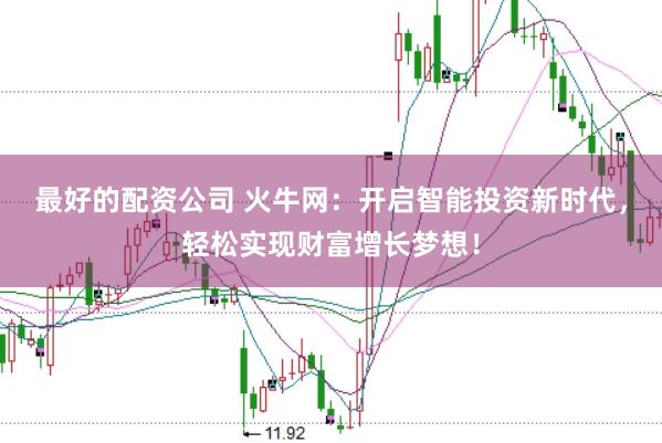 最好的配资公司 火牛网：开启智能投资新时代，轻松实现财富增长梦想！