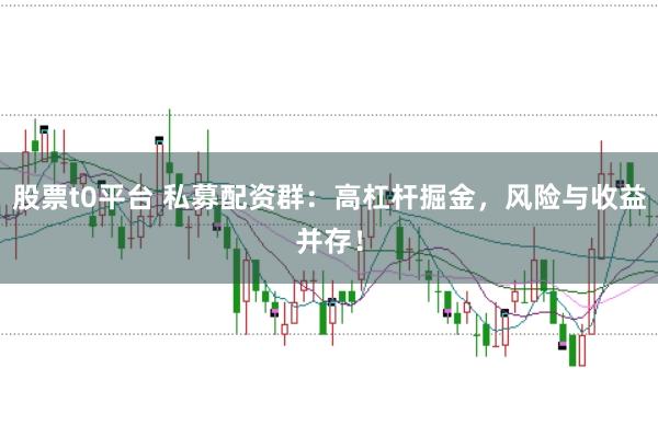 股票t0平台 私募配资群:高杠杆掘金,风险与收益并存!