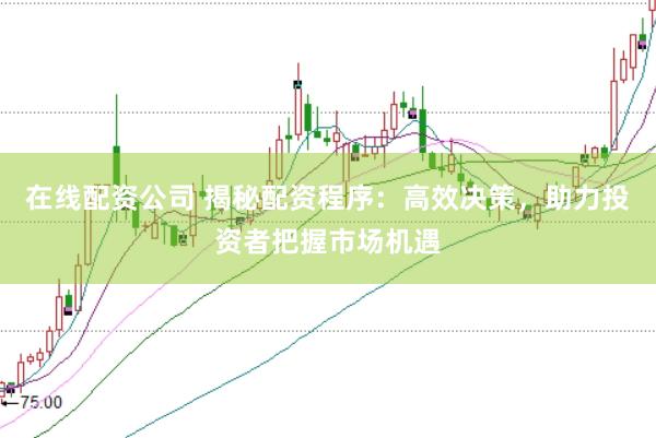 在线配资公司 揭秘配资程序：高效决策，助力投资者把握市场机遇