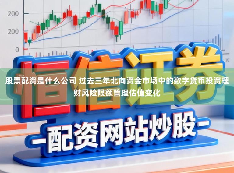 股票配资是什么公司 过去三年北向资金市场中的数字货币投资理财风险限额管理估值变化