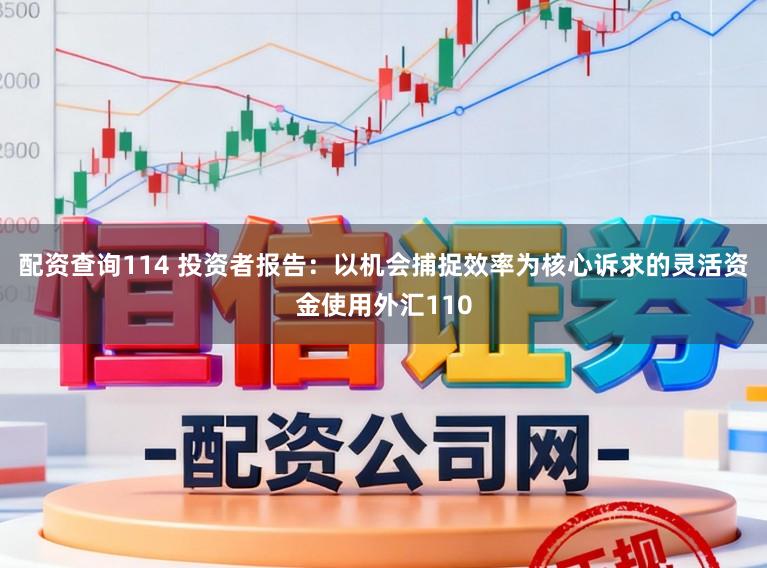 配资查询114 投资者报告：以机会捕捉效率为核心诉求的灵活资金使用外汇110