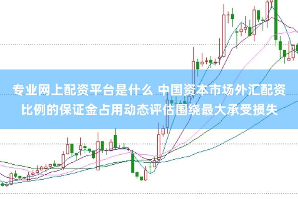 专业网上配资平台是什么 中国资本市场外汇配资比例的保证金占用动态评估围绕最大承受损失
