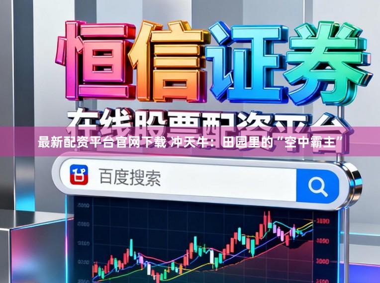 最新配资平台官网下载 冲天牛：田园里的“空中霸主”