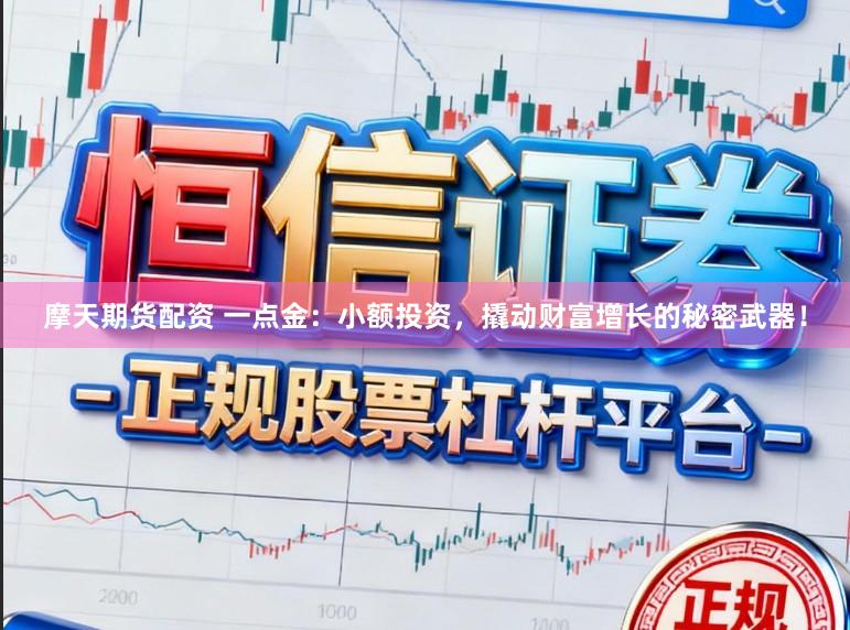 摩天期货配资 一点金:小额投资,撬动财富增长的秘密武器!